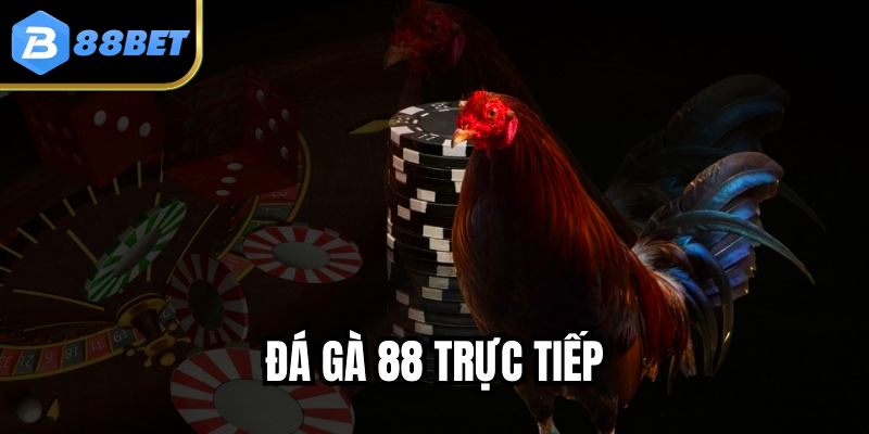 Đá Gà 88 Trực Tiếp – Cảm Giác Hồi Hộp Từ Đầu Đến Cuối