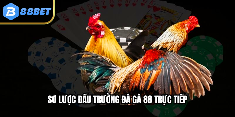 Sơ lược đấu trường đá gà 88 trực tiếp