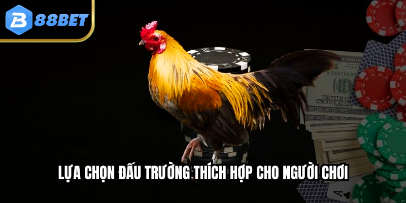 Lựa chọn đấu trường thích hợp cho người chơi