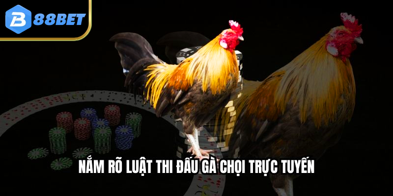 Nắm rõ luật thi đấu gà chọi trực tuyến